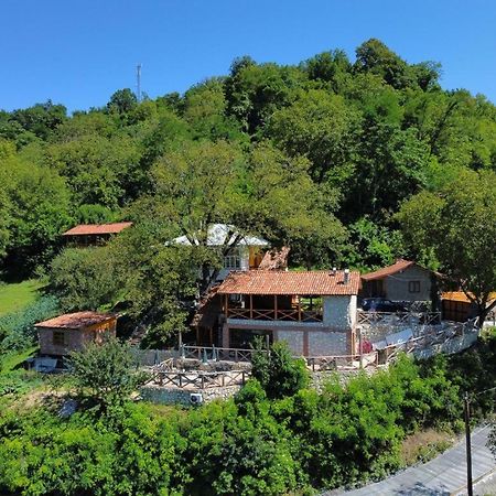 Sadmeli Winery Hotel Ambrolauri Exterior photo