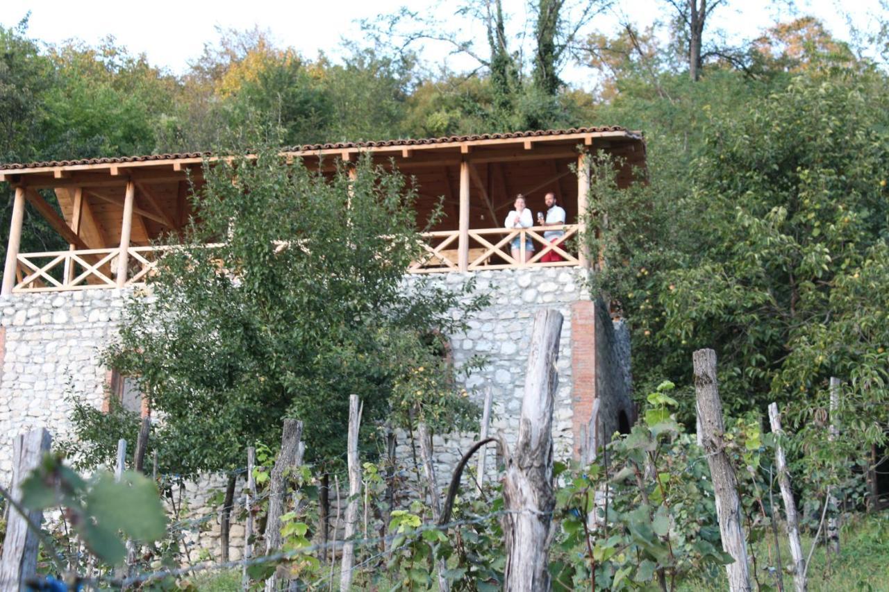 Sadmeli Winery Hotel Ambrolauri Exterior photo